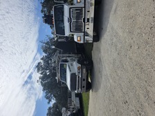 Elite Tree Service and Property Management Group logo