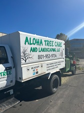 Avatar for ALOHA TREE CARE & LANDSCAPING, LLC