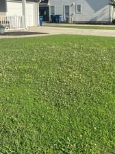 Orange Circle Lawn & Landscape Inc. logo