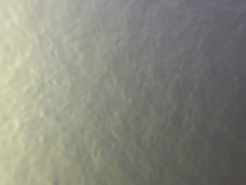 LEGACY SPRINKLERS LLC logo