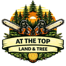 Avatar for At the Top Land & Tree