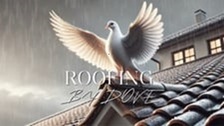 Logo for Dove Roofing and Construction, Inc.