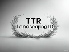 Avatar for TTR Landscaping LLC