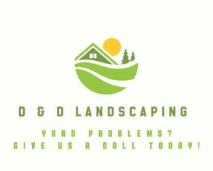 D&D Services logo