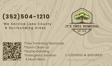 Avatar for JTS Tree Removal
