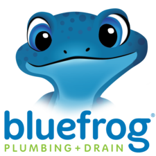 Avatar for Bluefrog Plumbing and Drain of Portland