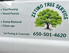 Avatar for Zetino Tree Service