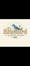 Avatar for Blue Bird Landscaping, LLC