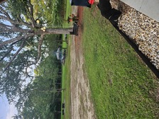 Avatar for Tree Line Design & Landscape, LLC