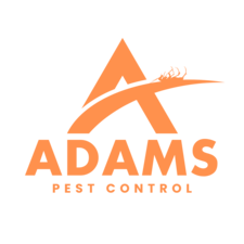 Avatar for ADAMS PEST CONTROL LLC