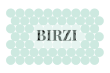 Avatar for BIRZI LIMITED LIABILITY COMPANY