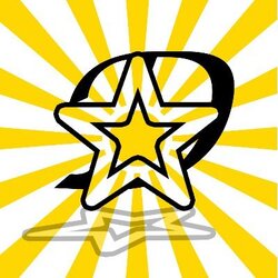 Daystar Roofing LLC logo