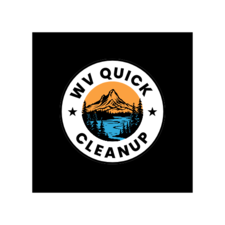 Avatar for WV Quick Cleanup