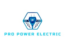 Logo for Pro Power Electric LLC