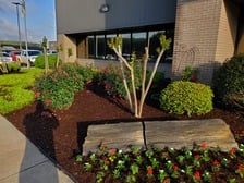 Avatar for Pro Turf, Inc