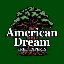 Avatar for American Dream Tree Experts