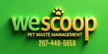 Avatar for we scoop