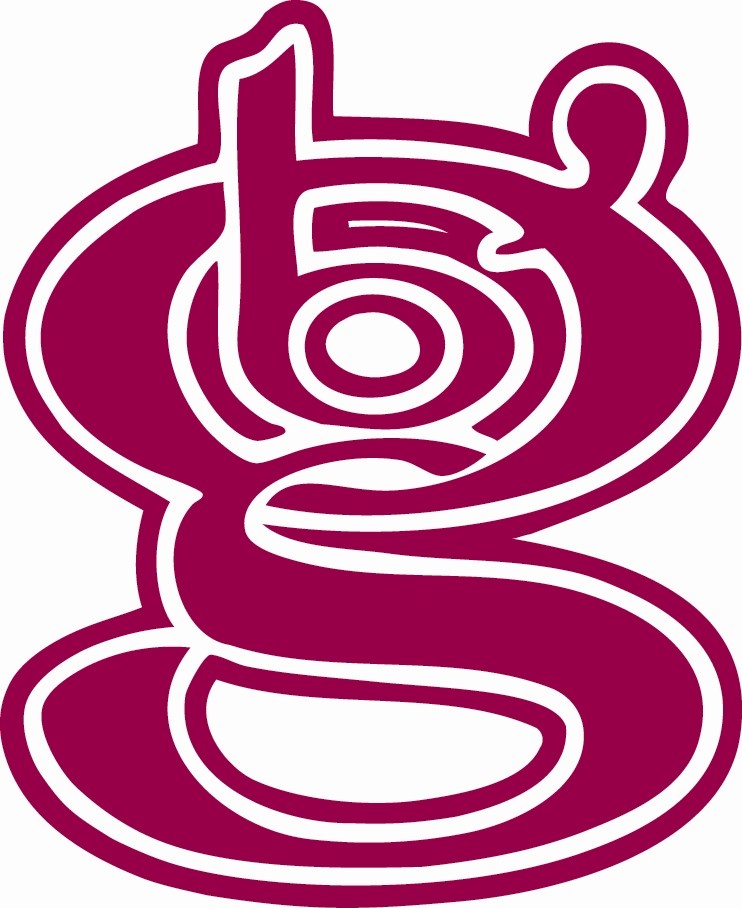 Logo for BGS Glass Service