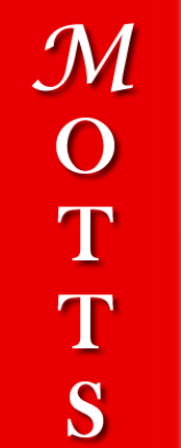 Avatar for MOTT'S CARPET CLEANING