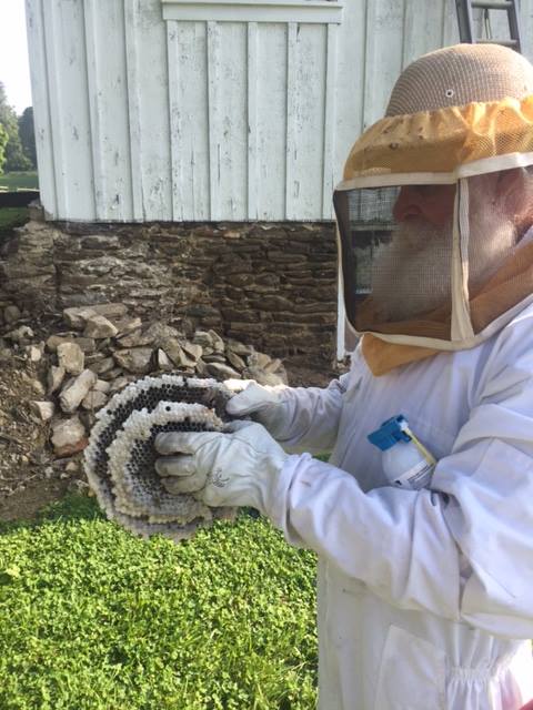 Avatar for Daly Termite & Pest Management