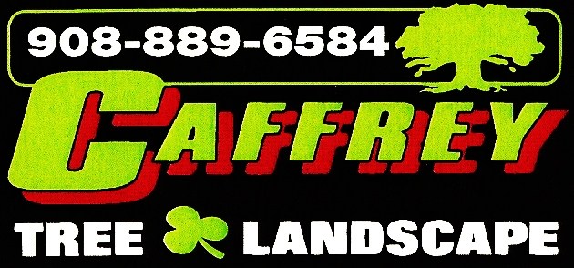 Avatar for Caffrey Tree & Landscape