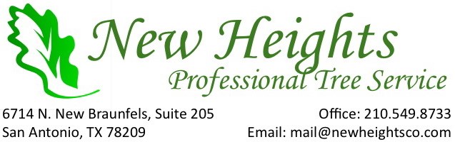 Avatar for New Heights Tree Services