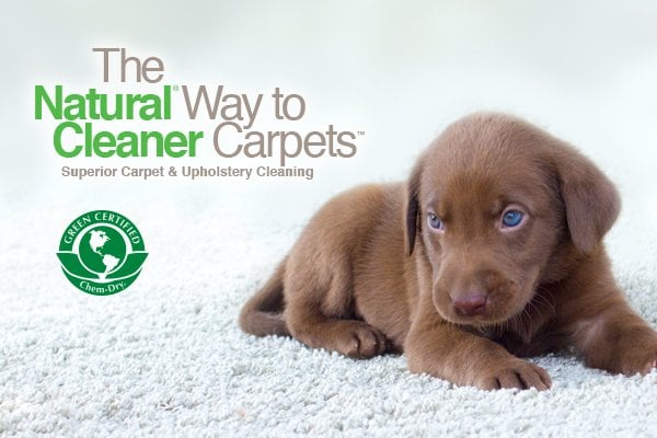 Logo for Chem-Dry of OKC / Edmond