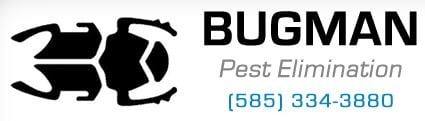 Avatar for Bug Man Pest Elimination