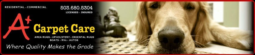 Avatar for A+ Carpet Care