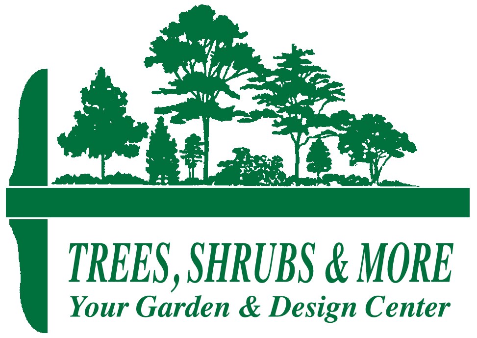 Avatar for Trees Shrubs & More