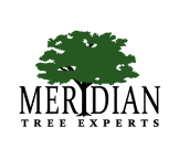 Logo for MERIDIAN TREE