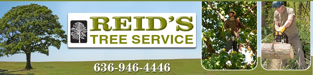 Logo for Reid's Tree Service