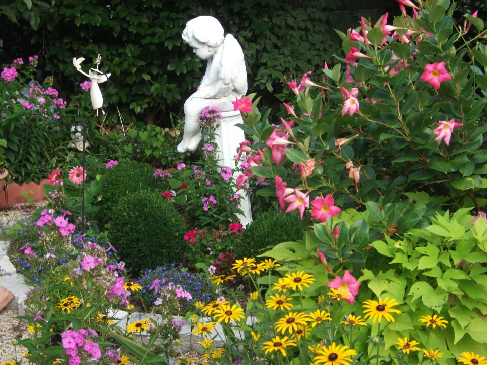 Avatar for THE GARDENING ANGEL LLC