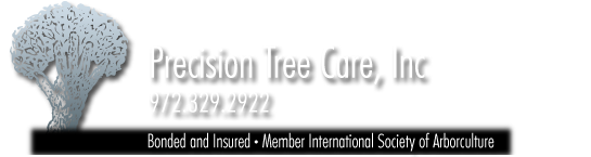 Avatar for Precision Tree Care & Landscape Corp