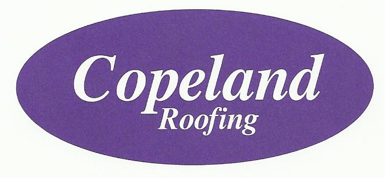 Avatar for Copeland Roofing Inc