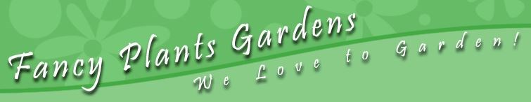 Avatar for Fancy Plants Gardens