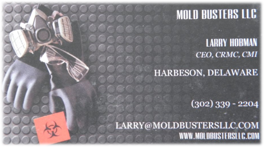 Avatar for Mold Busters LLC