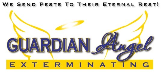 Avatar for Guardian Angel Exterminating