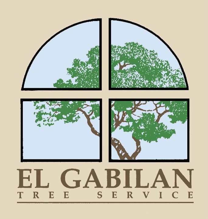 Avatar for El Gabilan Tree SVC