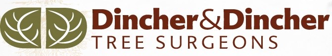 Logo for Dincher & Dincher Tree Surgeon