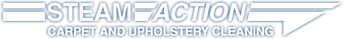 Logo for Steam Action Carpet & Upholstery Cleaning