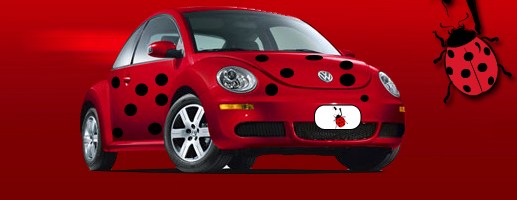 Avatar for LADY BUG EXTERMINATING CO INC