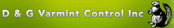 Avatar for D & G Varmint Control Inc