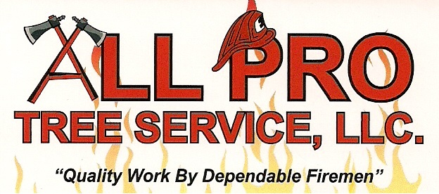 Avatar for All Pro Tree Service LLC