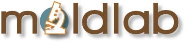 Avatar for Moldlab