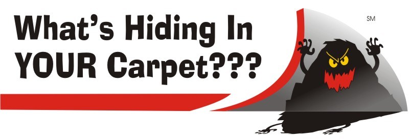 Logo for Clean Carpet Solutions