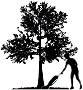 Avatar for A Touch Of Nature Cleaning