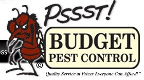 Logo for Budget Pest Control