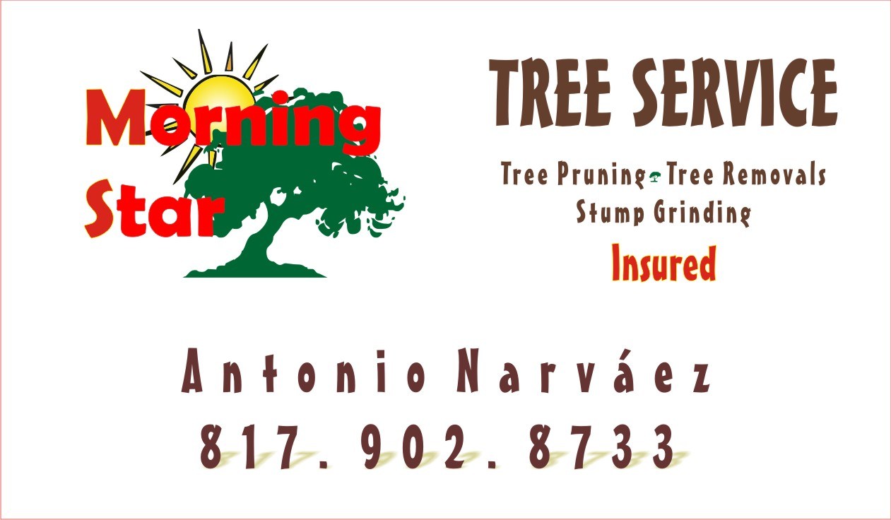 Logo for Morning Star Tree Service