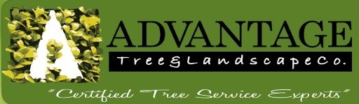 Logo for Advantage Tree & Landscape Co LLC